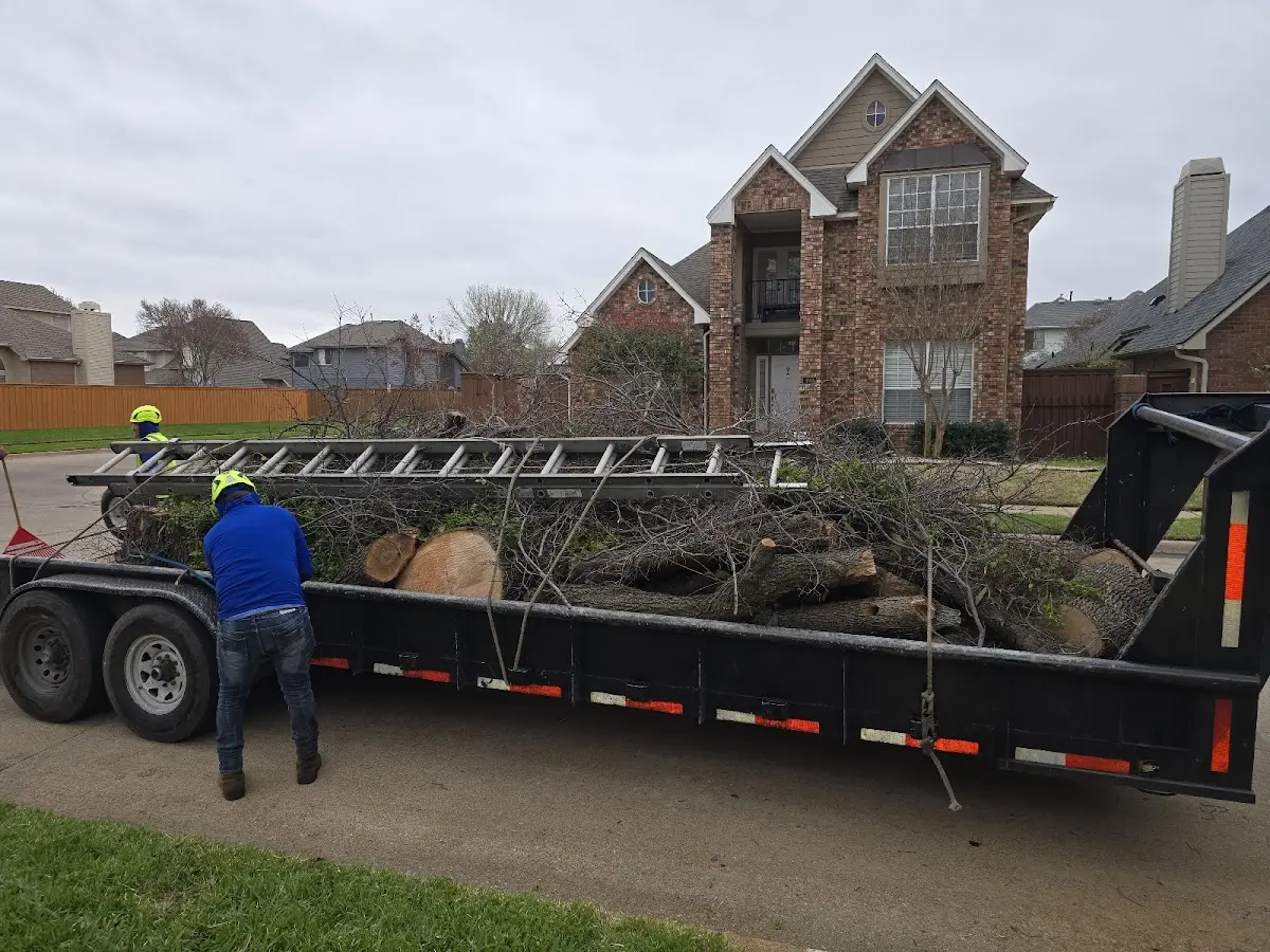 Expert Tree Fertilization with proper safety equipment in Colwich